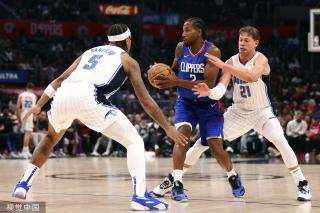 新草坪通常 新草坪通常